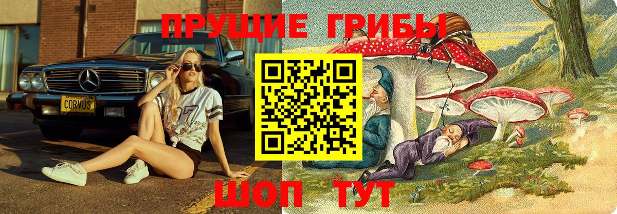 Галлюциногенные грибы Magic Shrooms Тында