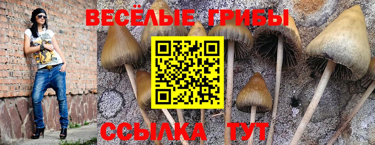 Галлюциногенные грибы мухоморы  Псилоцибиновые грибы MAGIC MUSHROOMS  Тында 