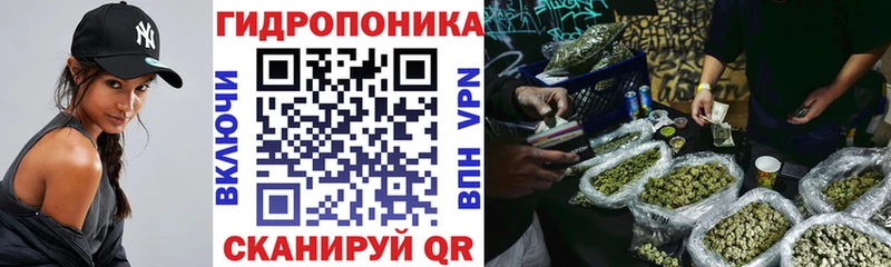 гидра ТОР  Тында  Бошки марихуана сатива 